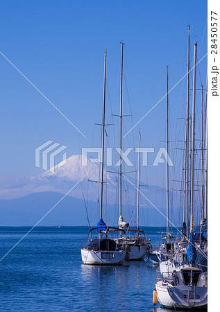 風景 油壺 海 ヨットハーバーの写真素材 - PIXTA
