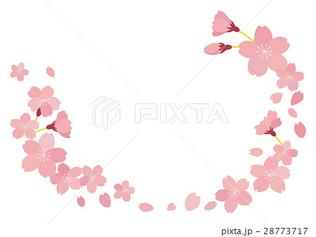 満開 桜 透過 桜吹雪のイラスト素材