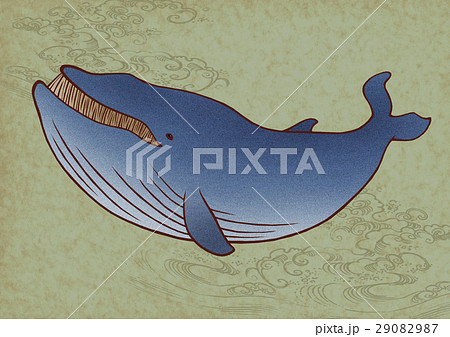 シロナガスクジラのイラスト素材