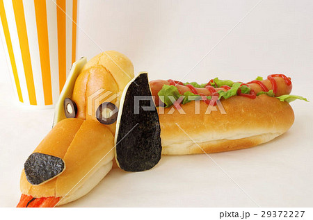 ホットドッグ 犬 かわいい 食べ物の写真素材