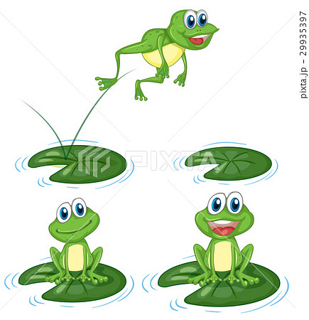 かえる カエル 蛙 ジャンプの写真素材