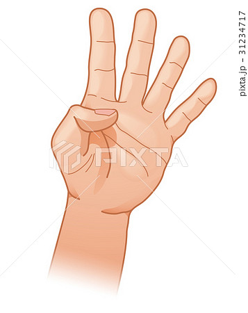 Count With Four Fingers Stock Illustration