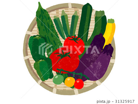 手書き 夏野菜 ズッキーニ かすれのイラスト素材 手書き 夏野菜 ズッキーニ かすれのイラスト素材