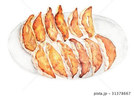 焼き餃子のイラスト素材