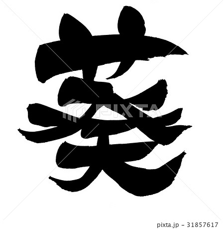 筆文字 葵 イラスト 文字の写真素材 - PIXTA