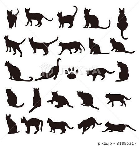 シルエット 猫 イラスト モノトーンの写真素材