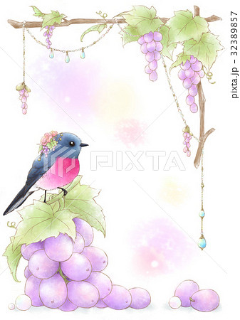 鳥 小鳥 葡萄 イラストのイラスト素材 - PIXTA