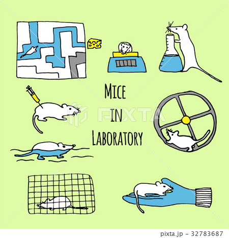 ねずみ ネズミ 実験室 ラットのイラスト素材