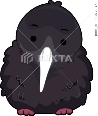 鳥類 鳥 キウイ キウィのイラスト素材