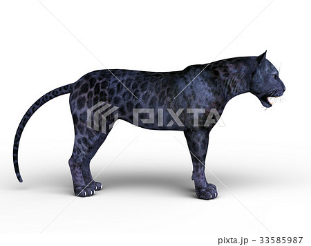 黒豹 猛獣 ｃｇ ネコ科のイラスト素材