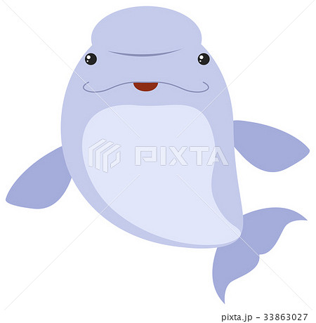 シロイルカのイラスト素材