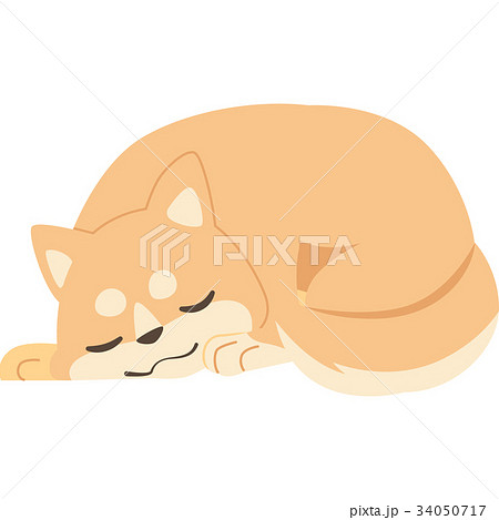 柴犬 犬 眠る 寝るのイラスト素材