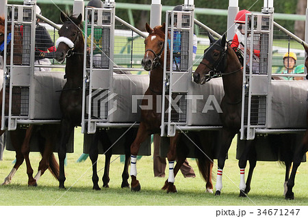 競馬 ゲート スタートゲート スタートの写真素材