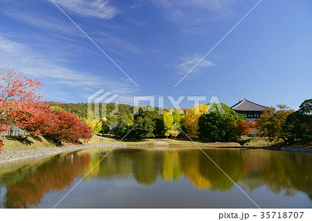 大仏池の写真素材 - PIXTA