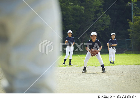 守備練習 少年野球 女の子 野球の写真素材