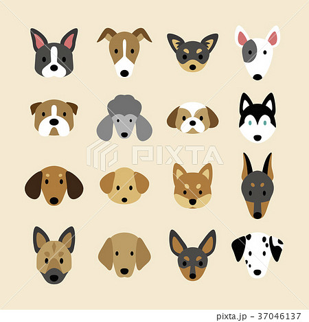 犬種のイラスト素材