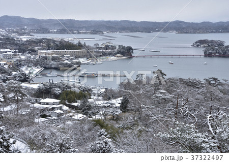 雪 松島 冬 観光船の写真素材