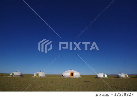 ゲル モンゴル 草原 高原の写真素材