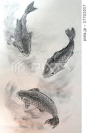 魚 鯉 水墨画 墨絵の写真素材 - PIXTA
