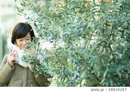 オリーブ 50代 女性 美魔女の写真素材 Pixta