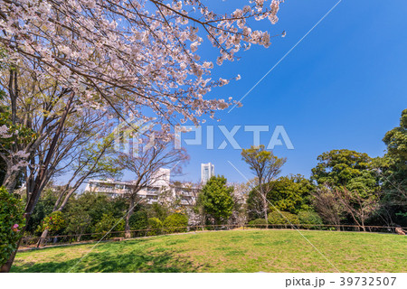 横浜市野毛山公園の写真素材