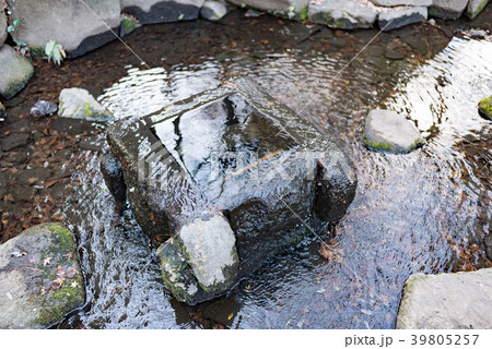 石神井公園 水 湧き水 湧水の写真素材