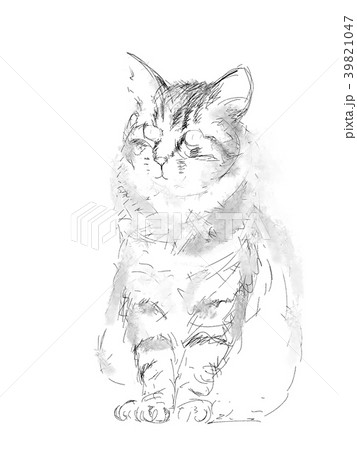 猫 イラスト スケッチ ペン画のイラスト素材