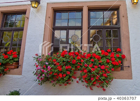窓 花 窓辺 ヨーロッパ 植物 赤い花 ガーデニングの写真素材