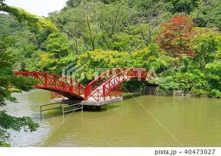 240件の「太鼓橋 日本」のベクター画像素材、ベクター素材
