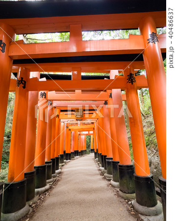 社寺 神社仏閣 和風 イラストの写真素材