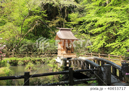 Hanazono Shrine Photos