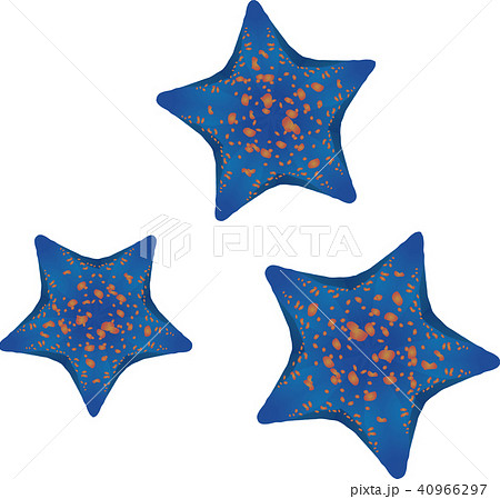 いとまきひとでのイラスト素材