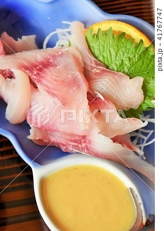 鯉 刺身 コイ 酢味噌の写真素材