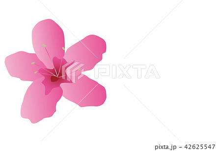 鹿児島県の花のイラスト素材