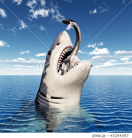 ホオジロザメ アクリル画 原画 【公式通販】