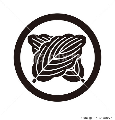 丸に違い柏の写真素材