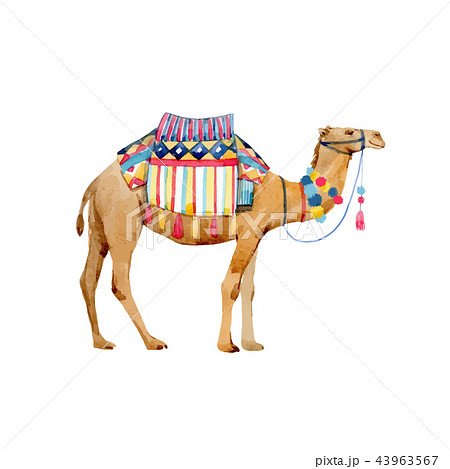 ラクダ 水彩画 植物 動物のイラスト素材