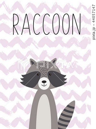 アライグマ かわいいのイラスト素材