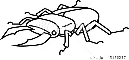 クワガタ 昆虫 ベクター 線画のイラスト素材