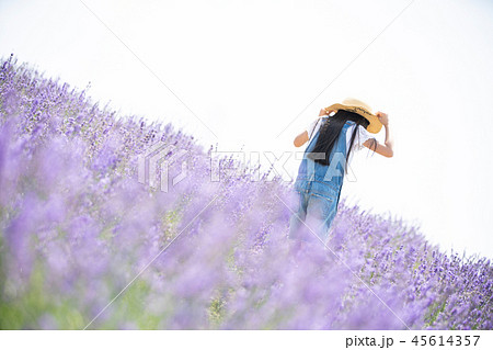 女の子 子供 花畑 後姿の写真素材