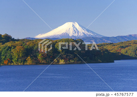 狭山湖 紅葉 富士山 所沢市の写真素材
