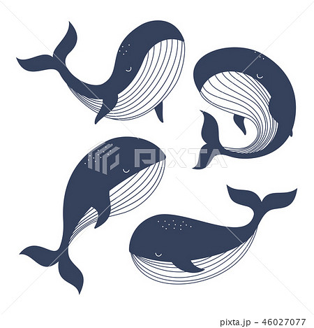 くじら クジラ 鯨 絵のイラスト素材