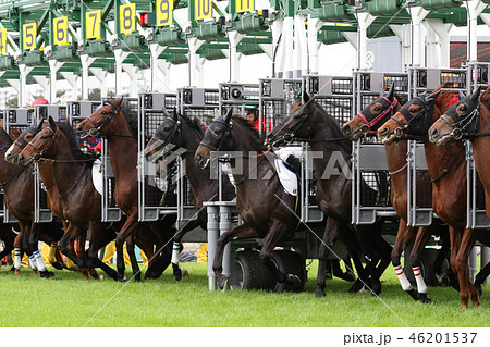 競馬 ゲート スタートゲート スタートの写真素材