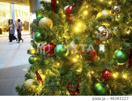 ヤドリギ 宿り木 やどりぎ クリスマス飾りの写真素材 ヤドリギ 宿り木 やどりぎ クリスマス飾りの写真素材