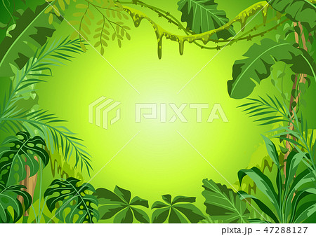 背景 ジャングルのイラスト素材