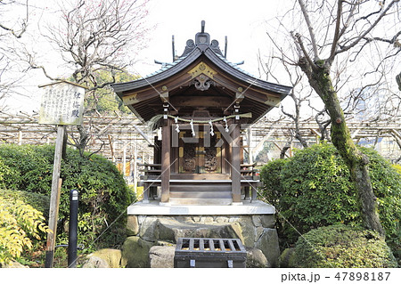 紅梅殿 亀戸天神 菅原道真 学問の神の写真素材