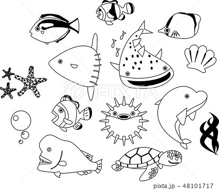 魚 生き物 生物 ニモのイラスト素材