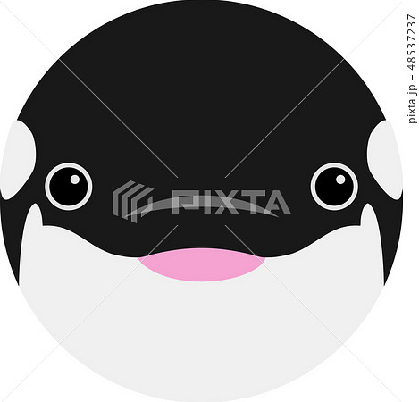 しゃちのイラスト素材