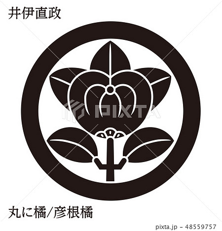 丸に橘のイラスト素材 - PIXTA