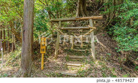 大多喜県民の森の写真素材